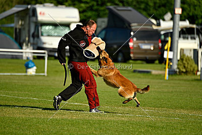 Baxx vom roten Drachen