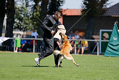 Baxx vom roten Drachen