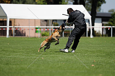 Baxx vom roten Drachen