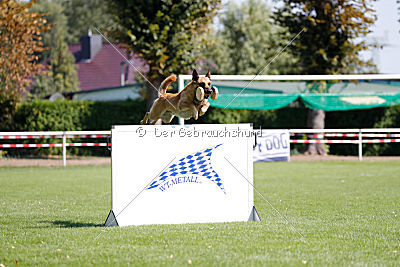 Baxx vom roten Drachen