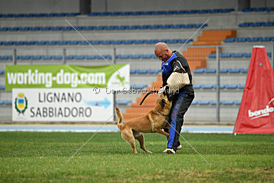 Baxx vom roten Drachen