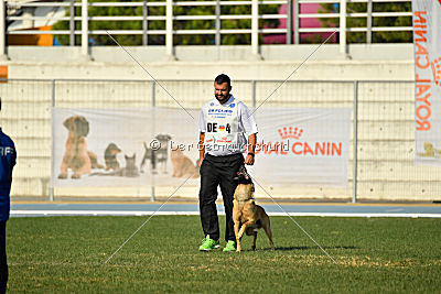 Baxx vom roten Drachen