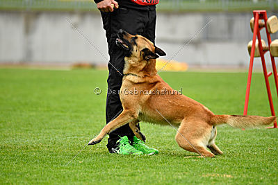 Baxx vom roten Drachen