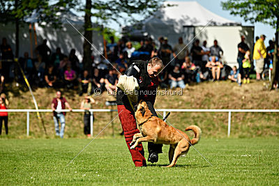 Baxx vom roten Drachen