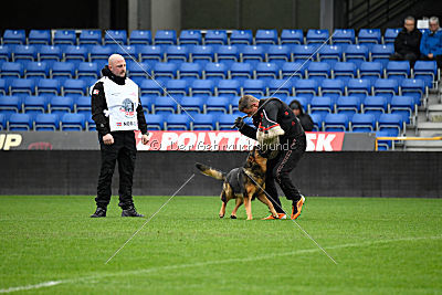 Bayaz av Bergsprekken