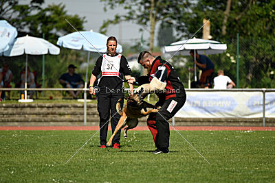 Bazooka unter schwarzer Flagge