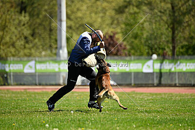 Be Eddy de Fontemordant