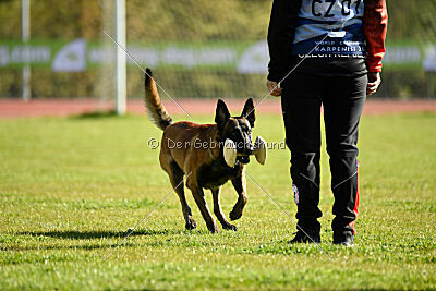 Be Eddy de Fontemordant