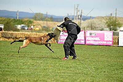 Be Eddy de Fontemordant