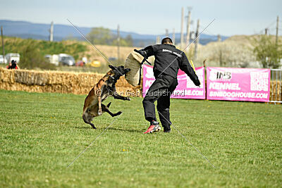 Be Eddy de Fontemordant