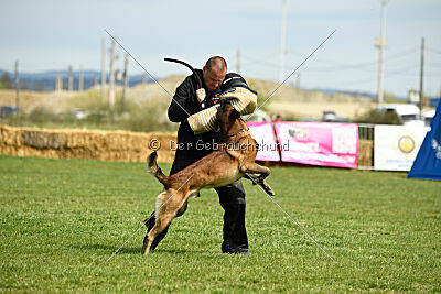 Be Eddy de Fontemordant