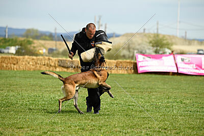 Be Eddy de Fontemordant
