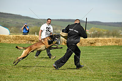 Be Eddy de Fontemordant