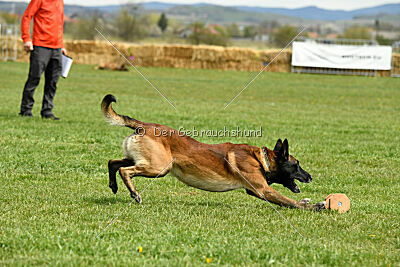 Be Eddy de Fontemordant
