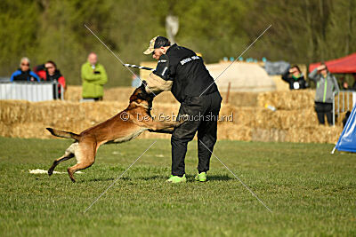 Be Eddy de Fontemordant