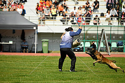 Be Eddy de Fontemordant