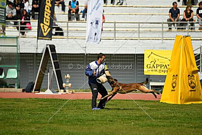 Be Eddy de Fontemordant