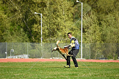 Be Eddy de Fontemordant