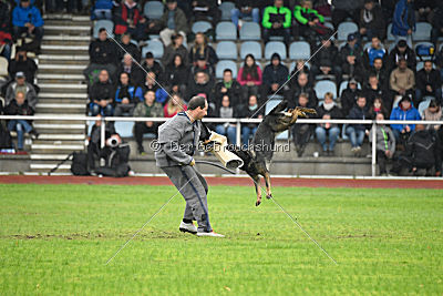 Bea vom Great Digger