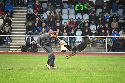 Bea vom Great Digger