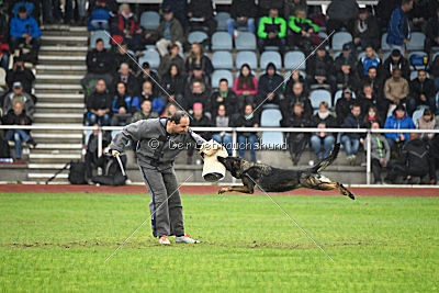 Bea vom Great Digger