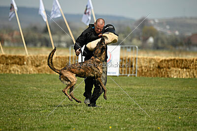 Bear Drive Unlimited