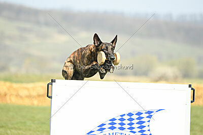 Bear Drive Unlimited