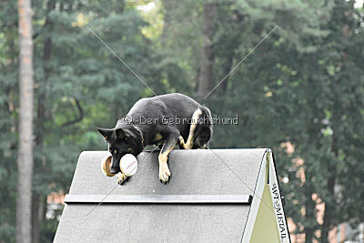 Becky on silent wings