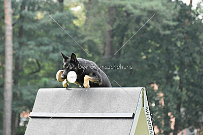 Becky on silent wings