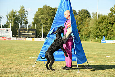 Beeslie von Elberfeld