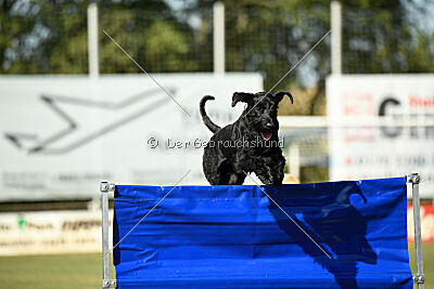 Beeslie von Elberfeld