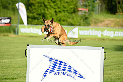 Beetlejuice on silent wings