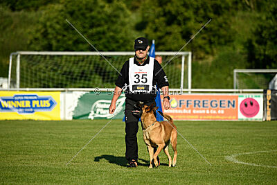 Benga vom Buxtehuder Bullen