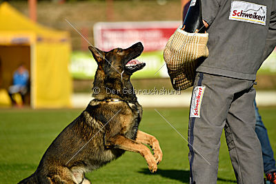 Benz vom Teufelsfeuer