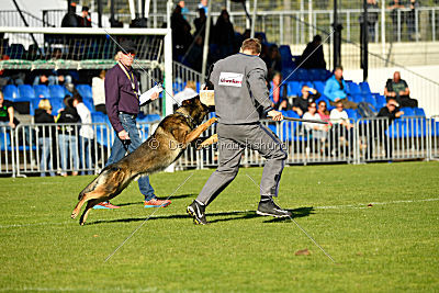 Benz vom Teufelsfeuer