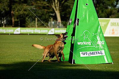 Berec vom Haus Edental