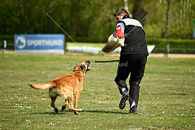 Berec vom Haus Edental