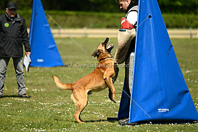 Berec vom Haus Edental