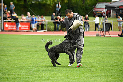 Berno du Grand Bijou