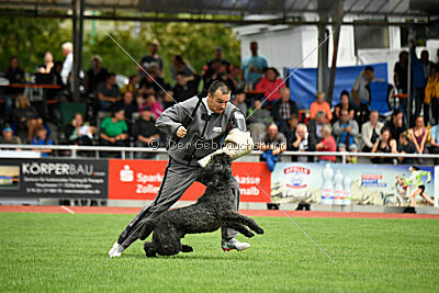 Berno du Grand Bijou