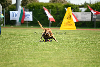 Berry de Fontemordant