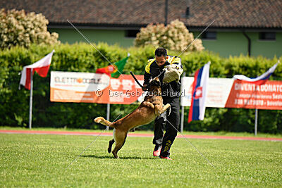 Berry de Fontemordant