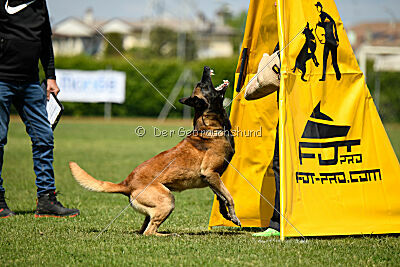 Berry de Fontemordant