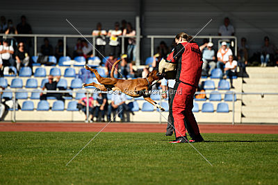 Bert von der Neckarschleife