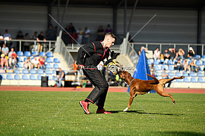 Bert von der Neckarschleife