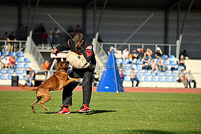 Bert von der Neckarschleife