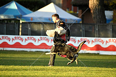 Berta vom Wolfsgraben
