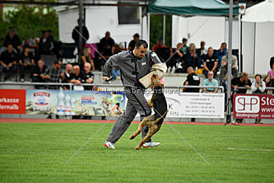 Bertram von der Hirschkanzel