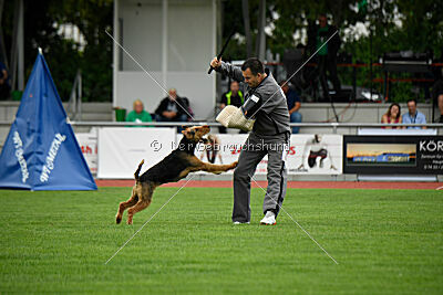 Bertram von der Hirschkanzel