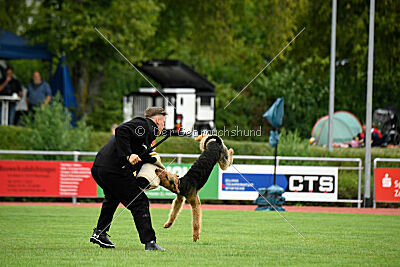 Bertram von der Hirschkanzel